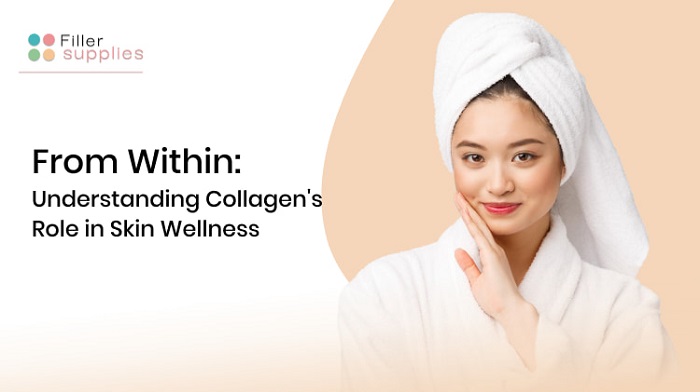 Understanding Collagen