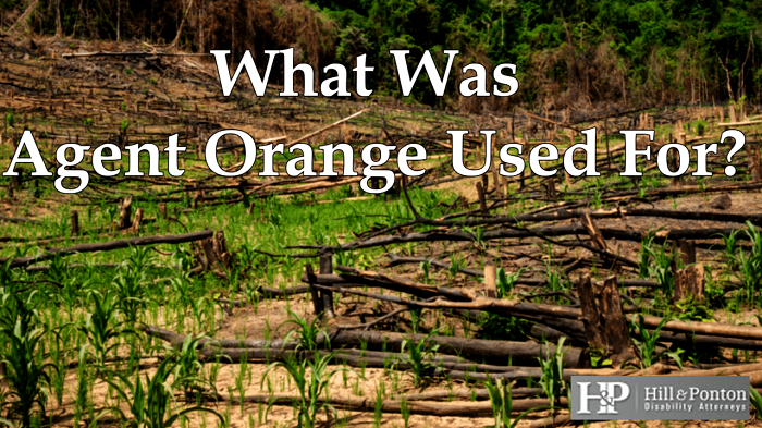 What is Agent Orange